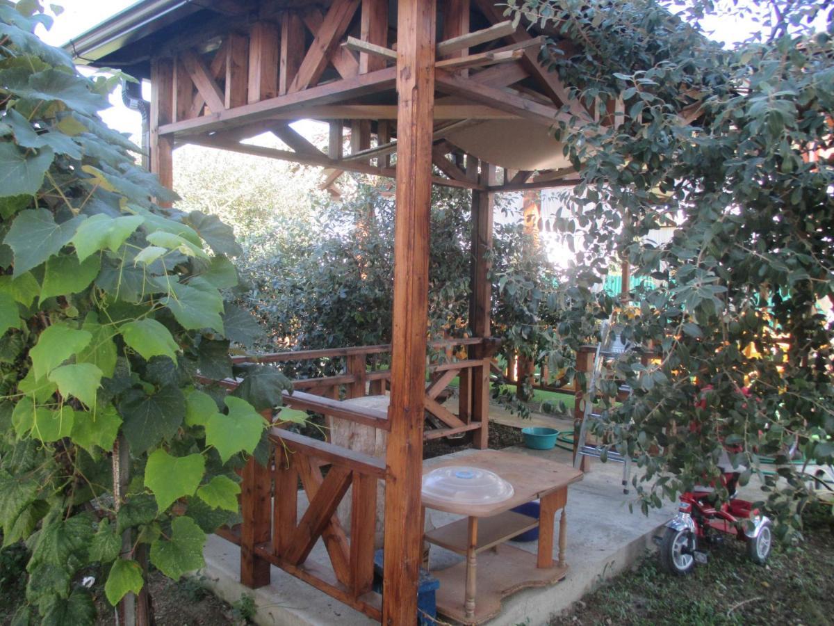 Guest House У Дедушки Самвела Alakhadzi 外观 照片